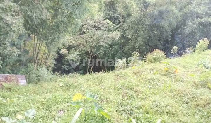 Tanah 619 Meter Persegi Cocok Untuk Perkebunan Lokasi kaliangkrik Magelang