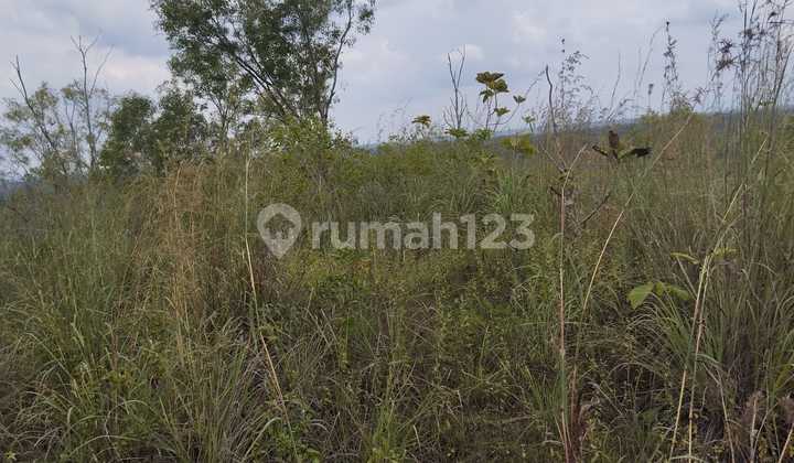 Dijual Tanah Tegal Luas 8.159 Meter Persegi  - Lokasi Strategis di Ngeposari, Semanu, Gunungkidul