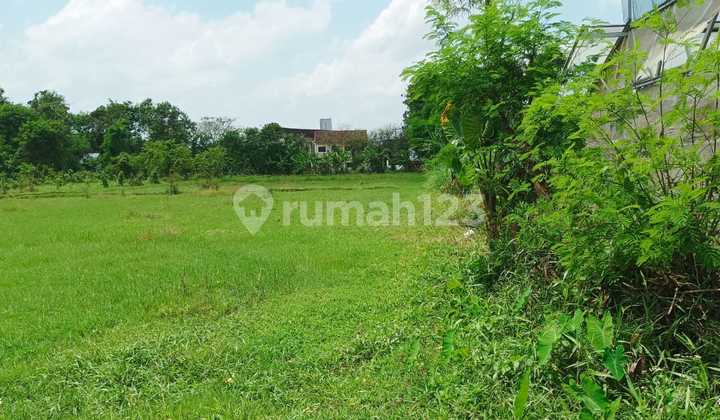 Tanah Sawah Luas 2507 Meter Persegi Dekat Akses Tol Trihanggo Gamping Sleman Tanah Sawah Luas 2507 Meter Persegi Dekat Akses Tol Trihanggo Gamping Sleman