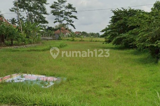 Dijual Tanah Pertanian Lokasi di Jalan Raya Bandongan - Magelang Dijual Tanah Pertanian Lokasi di Jalan Raya Bandongan - Magelang
