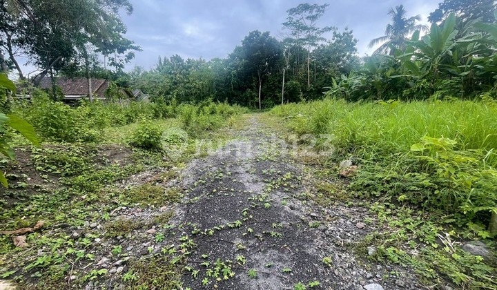 For Sale, Large Yard Land 1529 Square Meters Location Sembung - Balecatur Gamping Sleman