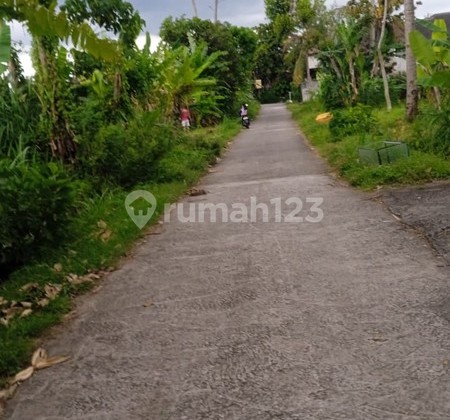 For Rent, 1100 Square Meters of Rice Field Land Located in Tajem Ngemplak Sleman