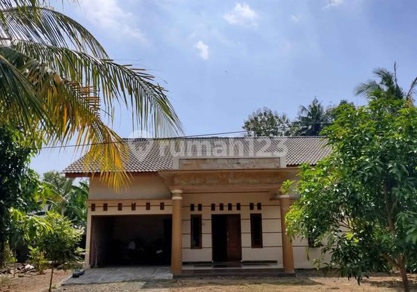 Rumah Tinggal Nyaman Lokasi Dekat Objek Wisata Obelix - Bantul Rumah Tinggal Nyaman Lokasi Dekat Objek Wisata Obelix - Bantul