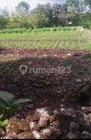 Tanah Luas 3030 Meter Persegi Lokasi di Daerah Ponjong Gunung Kidul