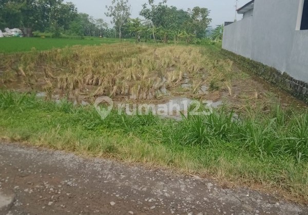 Tanah Sawah Luas 1338 Meter Persegi Lokasi Strategis Dekat Pasar Godean - Sleman Tanah Sawah Luas 1338 Meter Persegi Lokasi Strategis Dekat Pasar Godean - Sleman