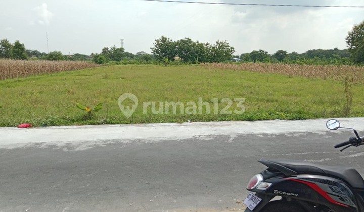Rice Field Land for Rent Suitable for Business - Strategic Location in Sekarsuli, Klaten