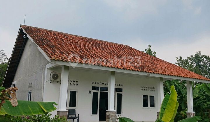 @ Di Jual Cepat Rumah Dan Kebun Kemang Udik Parung Hijau Bogor Murah Jawa Barat 1