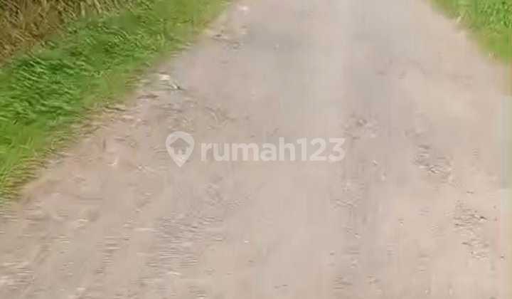 For Sale Cheap Land Sajira Lebak Negotiable Owner Banten For Sale Cheap Land Sajira Lebak Negotiable Owner Banten