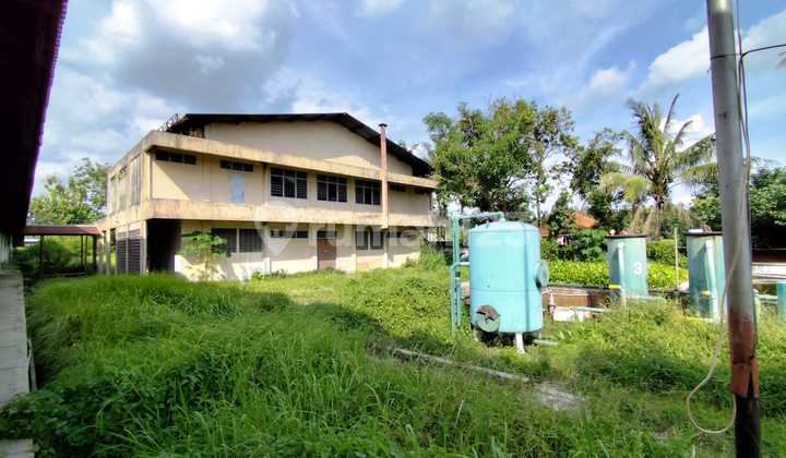 Factory & Warehouse 29000 Square Meters Near Sleman Regional Hospital