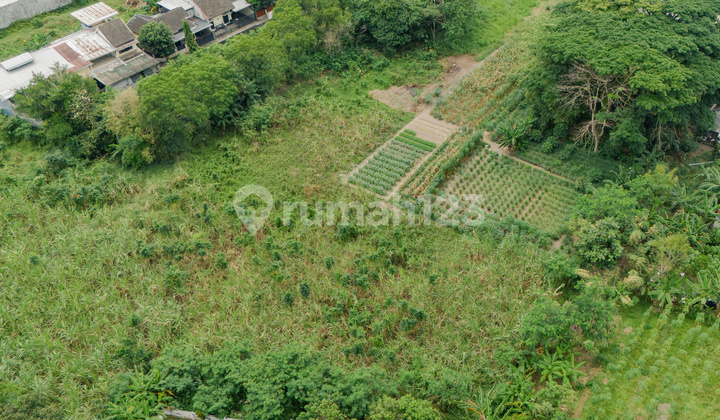 Land Investment 1244 Square Meters Suitable for Boarding House, Location Near Hyatt Hotel, Sariharjo, Ngaglik, Sleman Land Investment 1244 Square Meters Suitable for Boarding House, Location Near Hyatt Hotel, Sariharjo, Ngaglik, Sleman