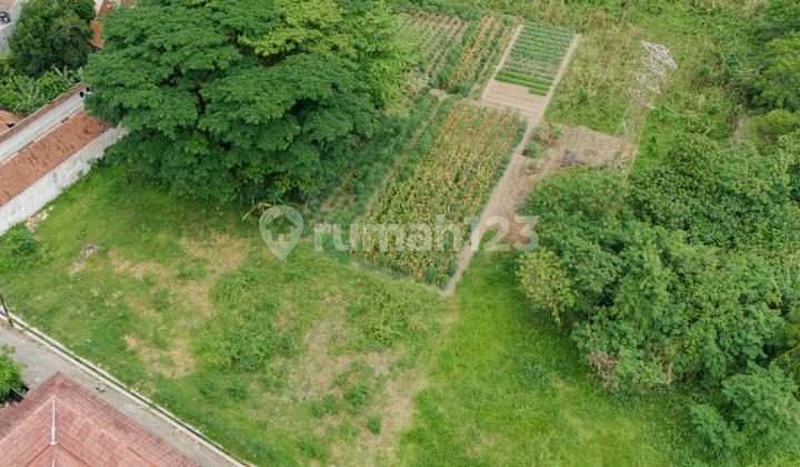 LAND 1244 SQUARE METERS NEAR HYARTA HOUSING & PONDOK PERMAI PALAGAN 3