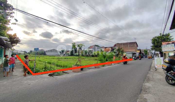 Land 1942 Square Meters Location Near PGRI Ngestiharjo Campus, Kasihan, Bantul
