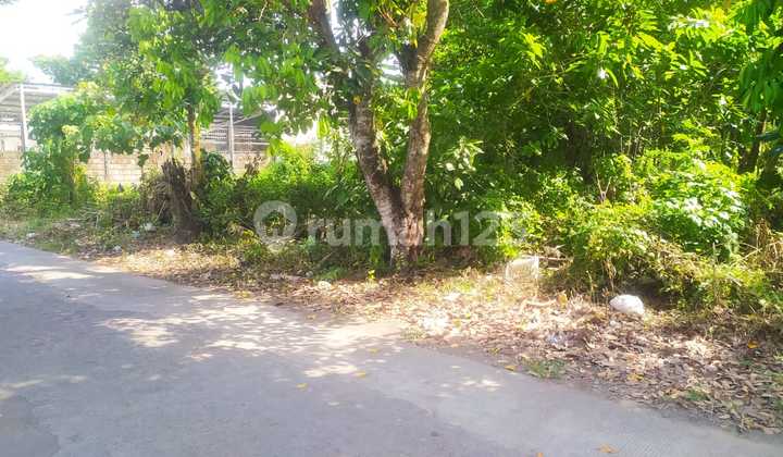 Tanah SHM Luas 770 Meter Persegi Lokasi Dekat Terminal Condong Catur Tanah SHM Luas 770 Meter Persegi Lokasi Dekat Terminal Condong Catur