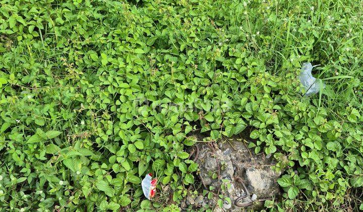 Disewakan Tanah Strategis Di Jl Wates Cocok Untuk Gudang 2