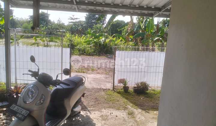 Rumah 3 Kamar Tidur Dekat RS Hermina Purwomartani Kalasan Sleman Rumah 3 Kamar Tidur Dekat RS Hermina Purwomartani Kalasan Sleman