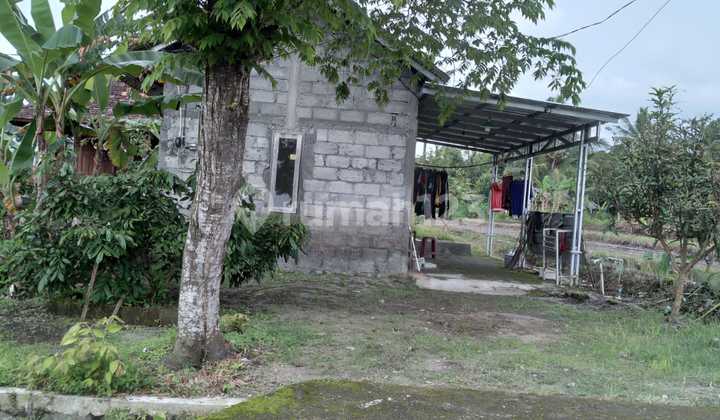 Freehold Rice Field Land for Sale in Sleman, Near Kopi Klotok and UII Campus, Harjobinangun, Pakem, Sleman Freehold Rice Field Land for Sale in Sleman, Near Kopi Klotok and UII Campus, Harjobinangun, Pakem, Sleman