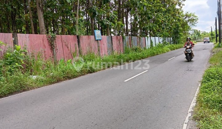 Tanah Dijual Luas Strategis di Berbah Sleman Yogyakarta Tanah Dijual Luas Strategis di Berbah Sleman Yogyakarta