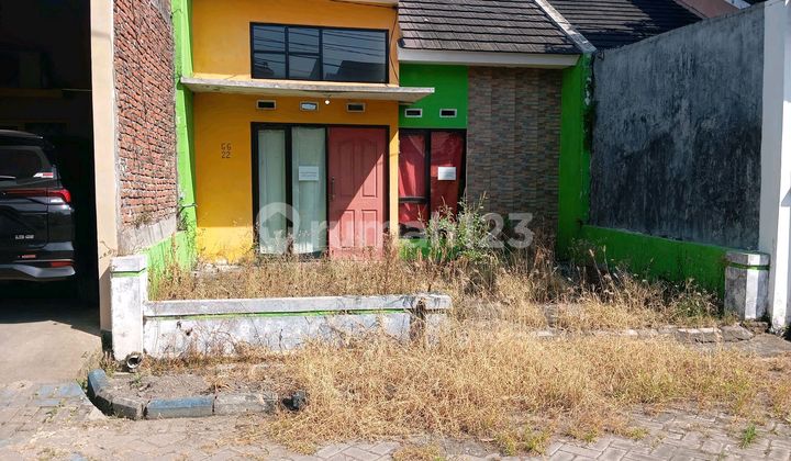 Di Kontrakan Rumah Cocok Untuk Pasangan Muda  1