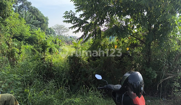Selling Land Near D Gardenia Housing Estate Sidoarjo