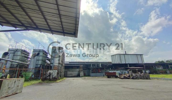 Wood Factory for Sale in Jember, East Java
