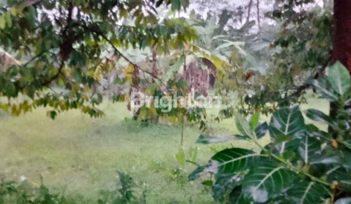 Tanah SHM luas 1960 m2 di Purwokerto 2