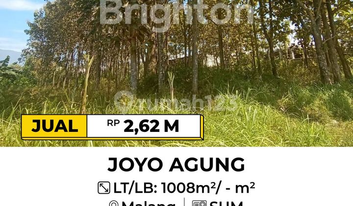 Tanah Luas 1008 Shm Di Joyoagung