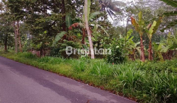 Tanah SHM luas 1960 m2 di Purwokerto 1