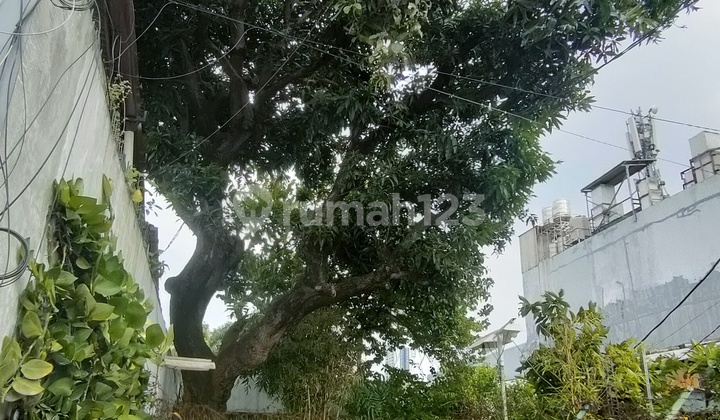 Rumah dan Workshop Dijual - Jl. Kedoya Raya, Jakarta Barat 2