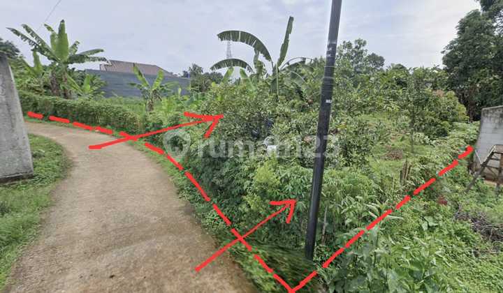 Tanah SHM Lokasi Strategis di Kp. Sasak, Tegal, Kemang, Bogor