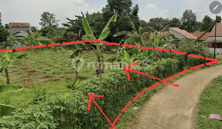 Tanah SHM Lokasi Strategis di Kp. Sasak, Tegal, Kemang, Bogor Tanah SHM Lokasi Strategis di Kp. Sasak, Tegal, Kemang, Bogor