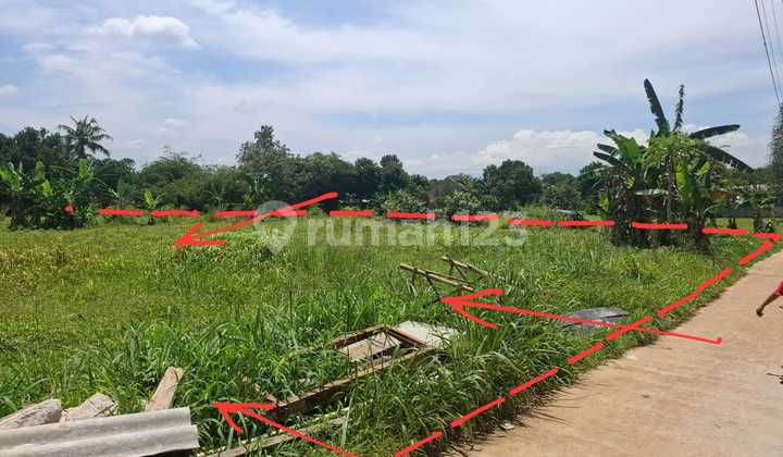 Tanah Strategis Akses Mudah di Kp. Sasak, Tegal, Kemang, Bogor Tanah Strategis Akses Mudah di Kp. Sasak, Tegal, Kemang, Bogor