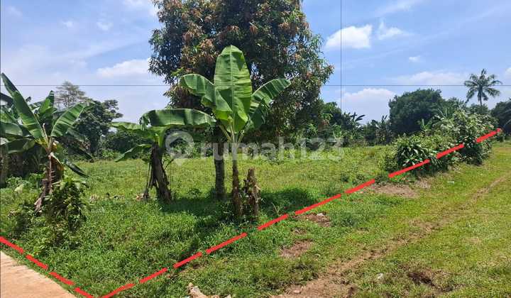 Tanah Strategis Akses Mudah di Kp. Sasak, Tegal, Kemang, Bogor