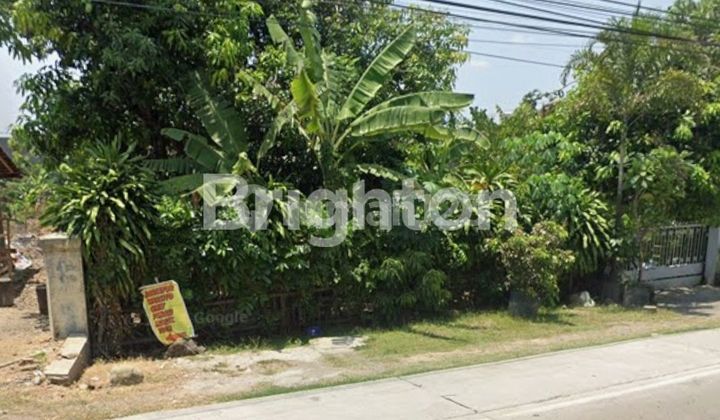 Tanah Pinggir Jl Besar Solo - Kalioso Dekat Dengan Pabrik Mutu Gading