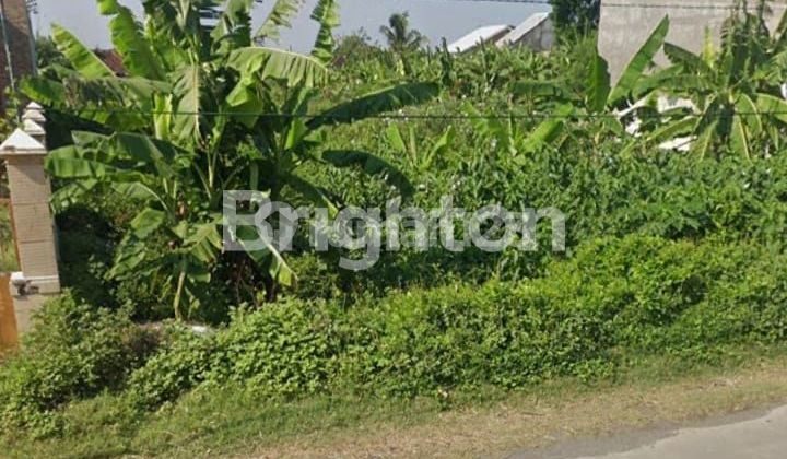 LAND ON DALEMAN MAIN ROAD