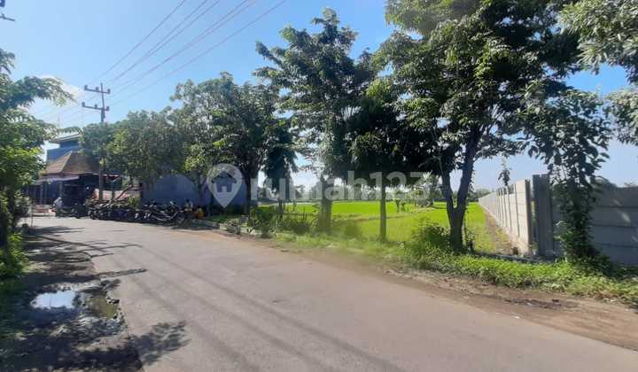 DIJUAL TANAH COCOK UNTUK PERUMAHAN ATAU GUDANG LOKASI BUDURAN SIDOARJO