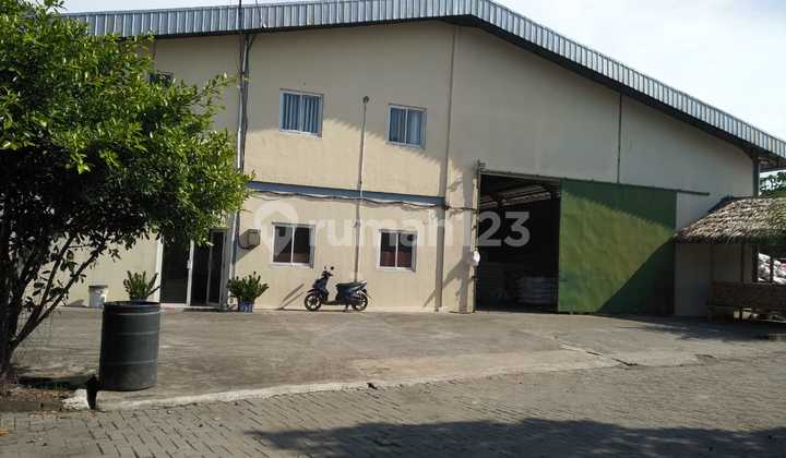 Land + Warehouse (area 2000m²) - Rajeg Main Road - Warehouse Permit Included - 40ft Container Access - Freehold Title. Land + Warehouse (area 2000m²) - Rajeg Main Road - Warehouse Permit Included - 40ft Container Access - Freehold Title.