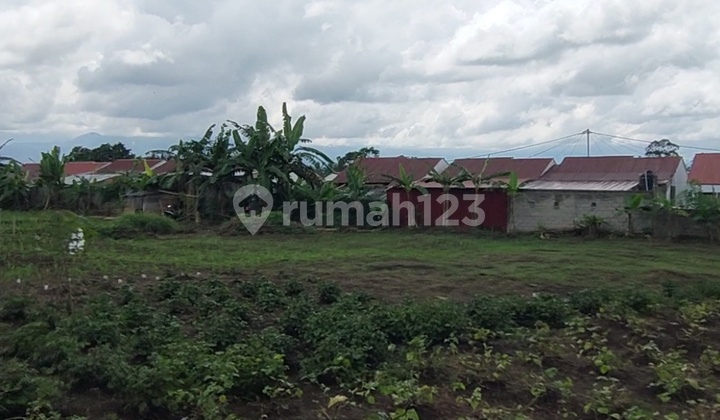 Land for Sale, 7100 Square Meters Ready to Build Next to Viola Housing Estate Land for Sale, 7100 Square Meters Ready to Build Next to Viola Housing Estate