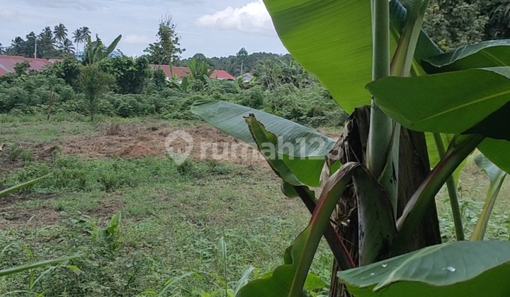 Land for Sale, 7100 Square Meters Ready to Build Next to Viola Housing Estate Land for Sale, 7100 Square Meters Ready to Build Next to Viola Housing Estate