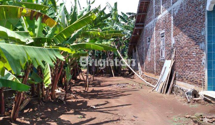 Tanah + Rumah di Jual Butuh Uang 2
