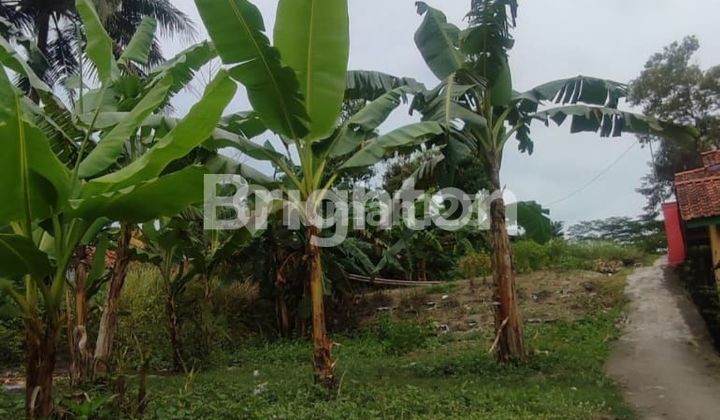 Shop House + House Super cheap price