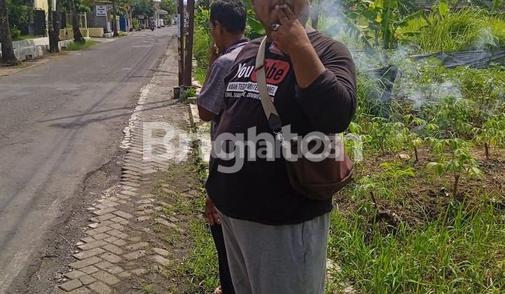 The land is firm and ready for construction.