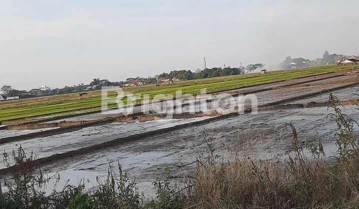 Tanah Cukup Luas Bisa Buat Pabrik di Pemalang Tanah Cukup Luas Bisa Buat Pabrik di Pemalang