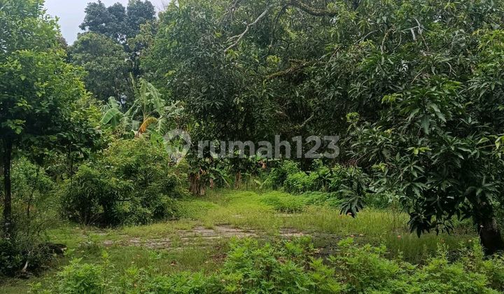 Tanah di Jual di Samping Perumahan Tanah Tanah di Jual di Samping Perumahan Tanah