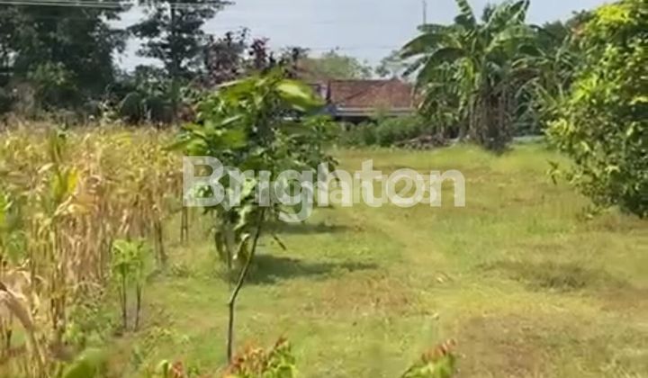 Land for Sale on main road.