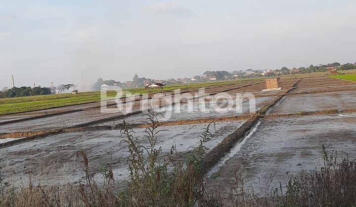 Tanah Cukup Luas Bisa Buat Pabrik di Pemalang Tanah Cukup Luas Bisa Buat Pabrik di Pemalang