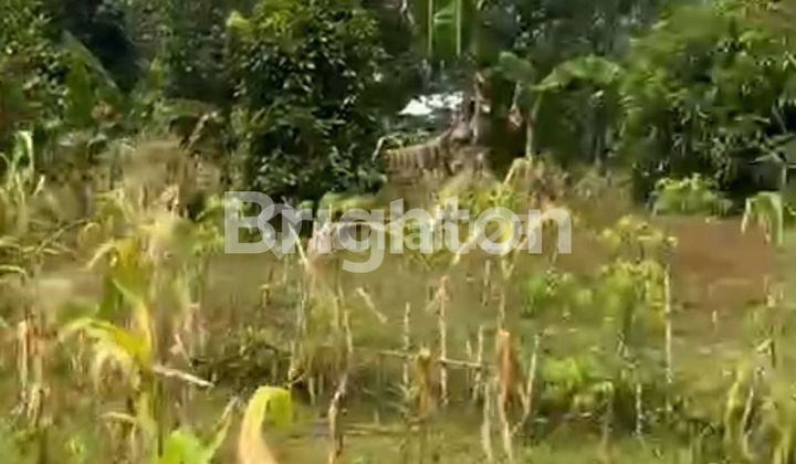 Land for Sale on main road.