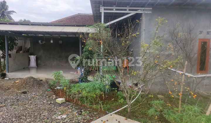 Tempat Disewakan Tempat Disewakan