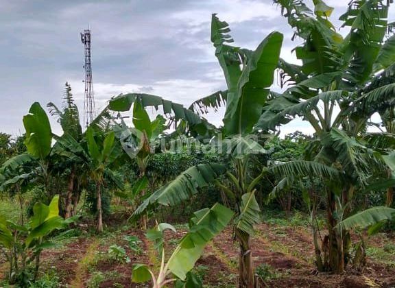 Di Jual Premium Kota Bogor Tanah Sareal Bogor Barat.