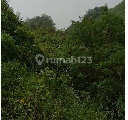 TERMURAH! Tanah Jl Kerkof Cimahi untuk perumahan atau cluster 2