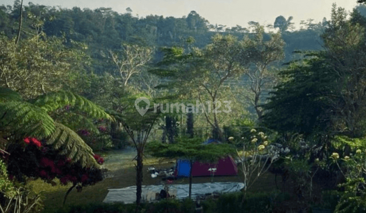 Termurah! Tanah Luas untuk Wisata Kebun di Cikalong Wetan 2